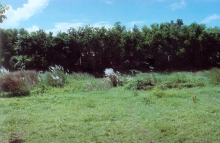 A view of the asrama from the other side of the river Bharga
